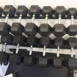 Assorted Free Weights